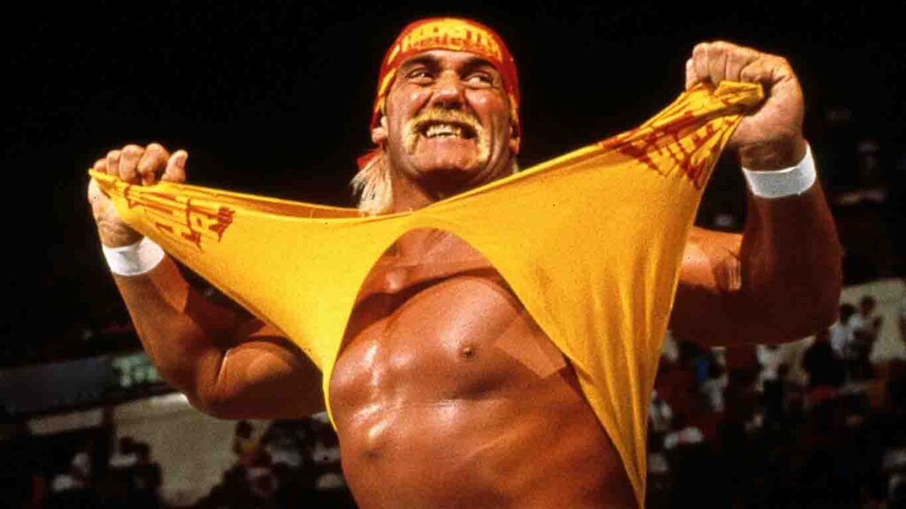 Hulk Hogan Net Worth